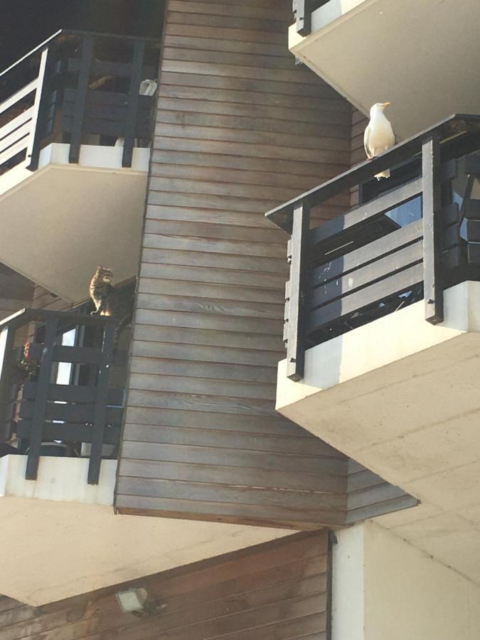 Mon Balcon Face A La Mer - Les Marinas 多维尔 外观 照片